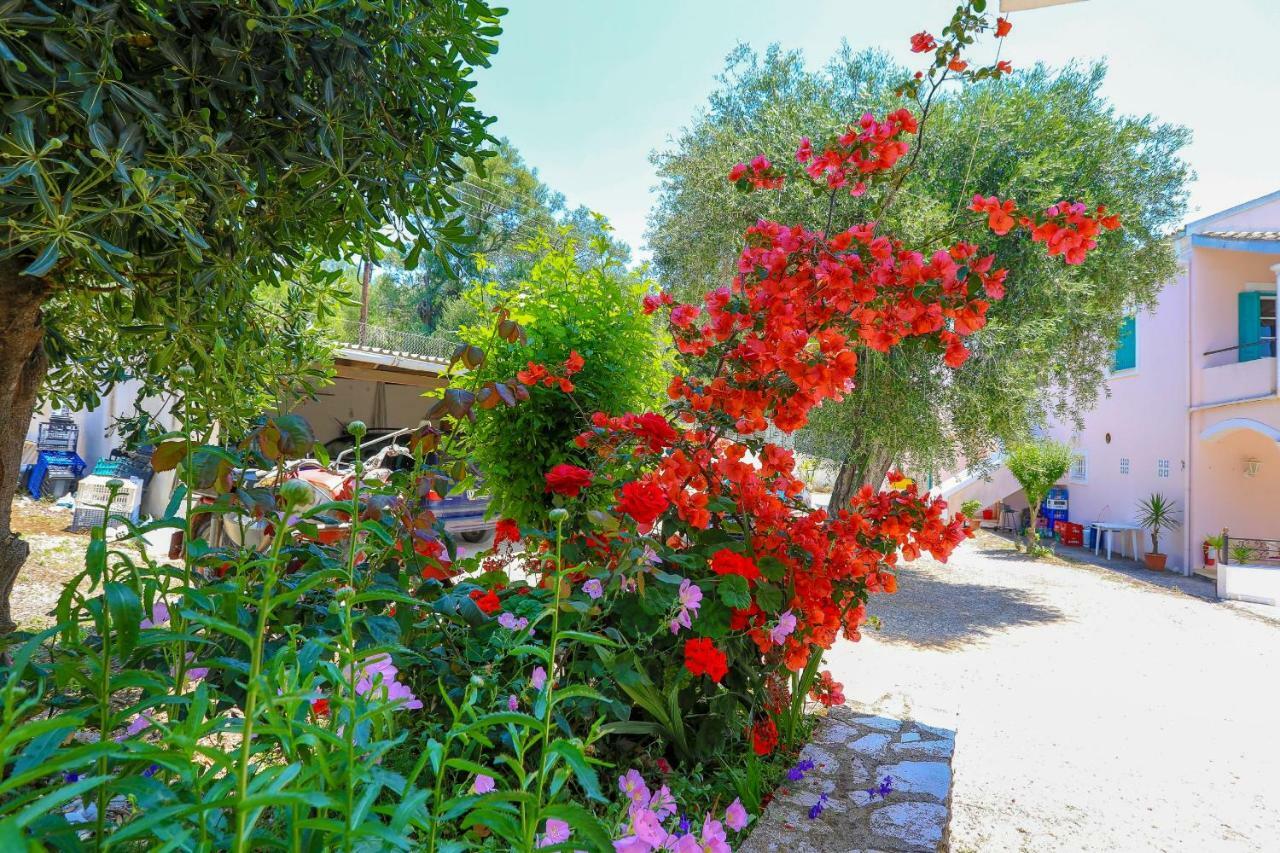Fran Apartments Agios Spyridon  エクステリア 写真